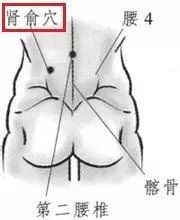 轉(zhuǎn)胯運(yùn)腰