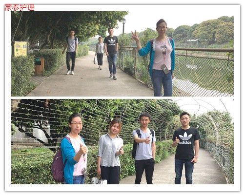 蒙泰的金馬爭霸