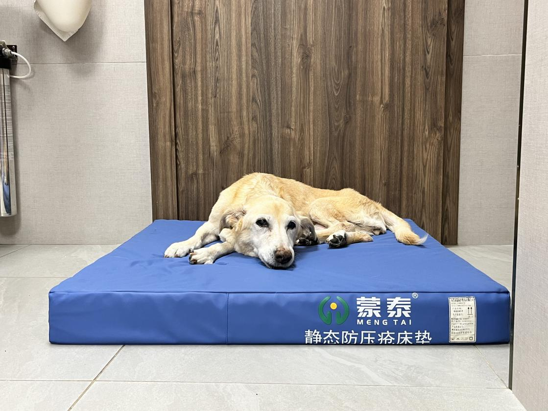 防褥瘡床墊
